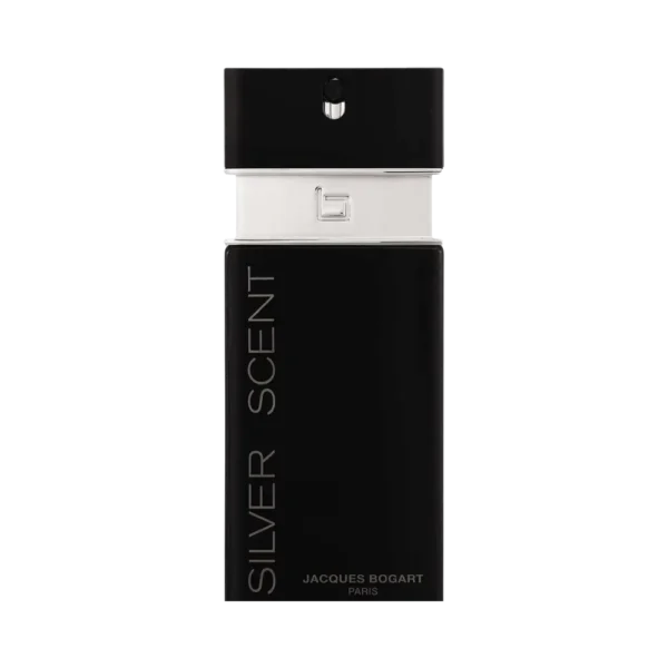 SILVER SCENT EDT