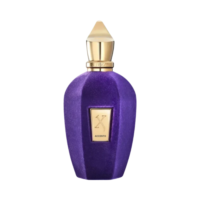 ACCENTO EDP